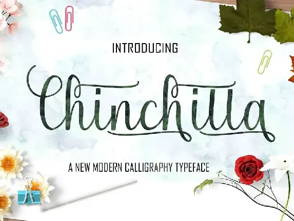 Chinchilla Script font