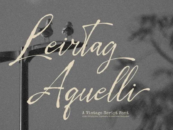 Leirtag Aquelli font