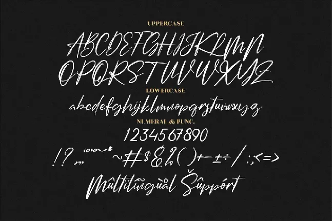 Amsterdam Signature font