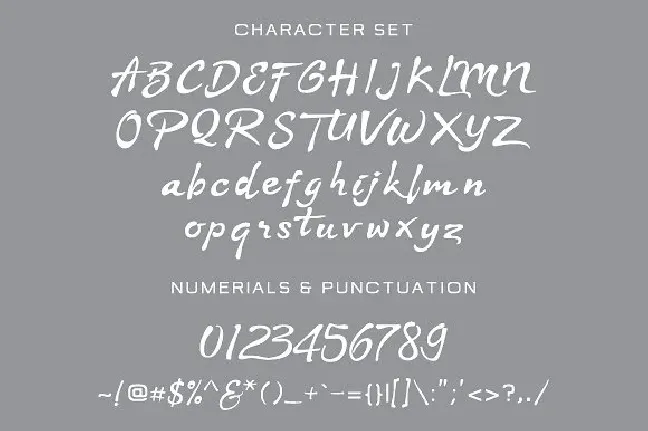 Stya Script font