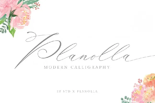 Planolla Calligraphy font