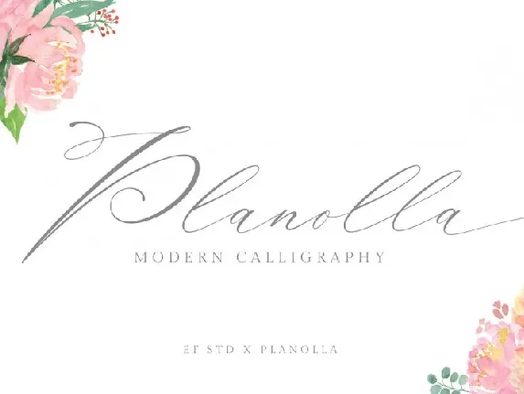 Planolla Calligraphy font