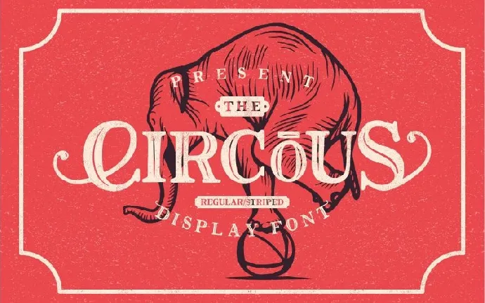 The Circous Typeface font