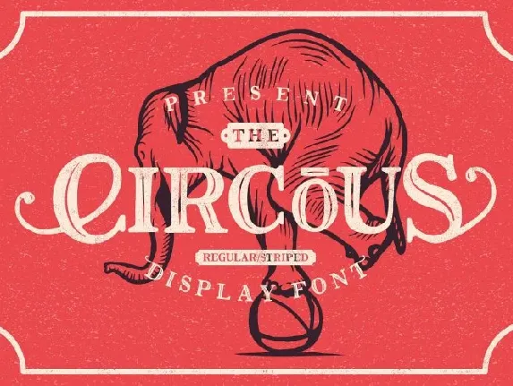 The Circous Typeface font