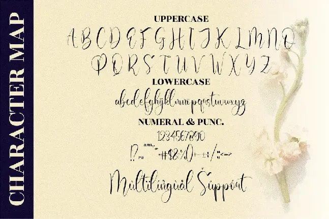 Olivianta Pettcia font