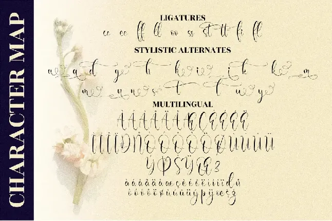 Olivianta Pettcia font