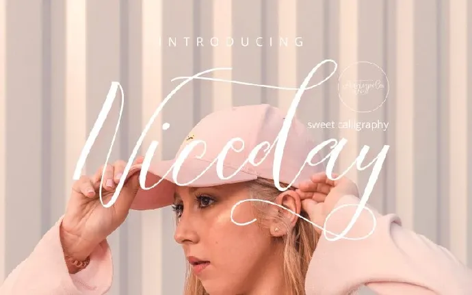 Niceday Script font