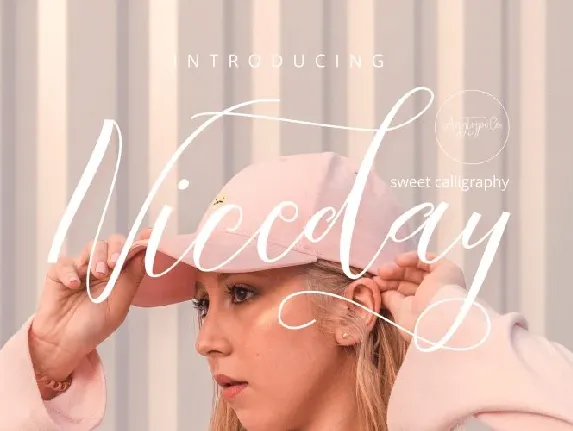 Niceday Script font