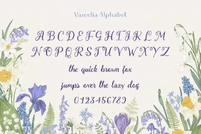 Vazeelia font