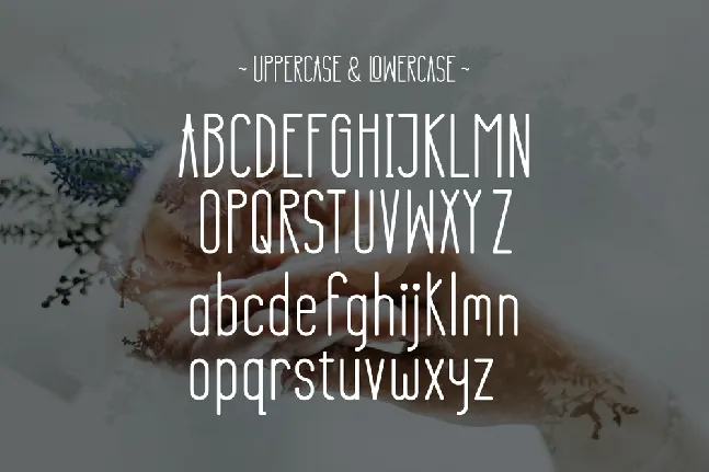 RENITA font