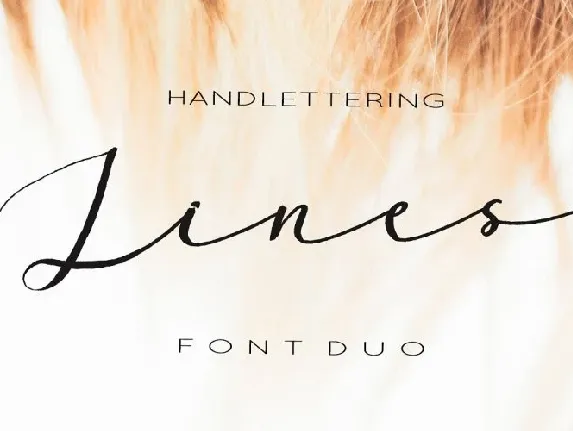 Lines Sans & Script font