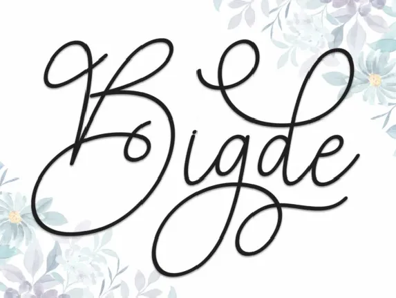 Bigde Script font