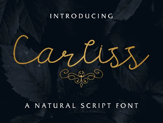 Carllis DEMO font