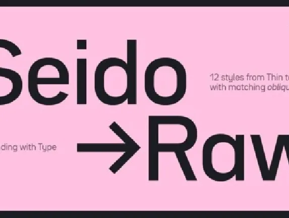 Bw Seido Raw Family font