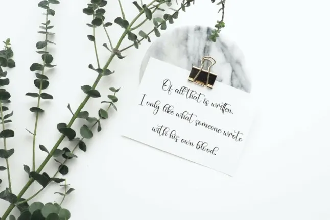 Ainsley Calligraphy font