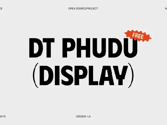 DT Phudu family font