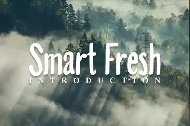 Smart Fresh font