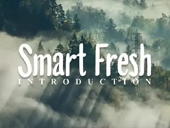 Smart Fresh font