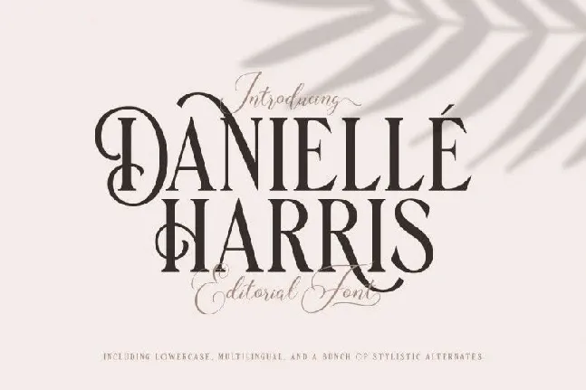 Danielle Harris Display font