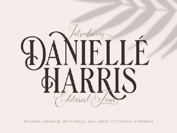 Danielle Harris Display font