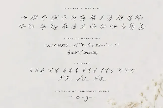 claytona font