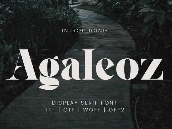 Agaleoz Serif font