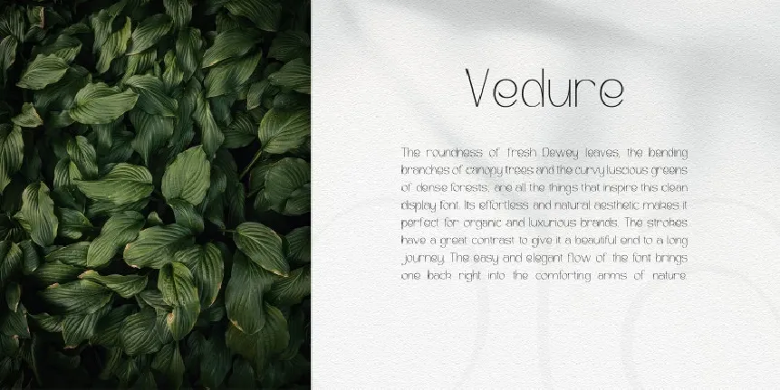 Verdure font