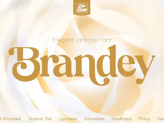 Brandey font