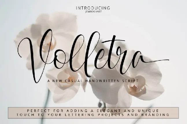 Volletra Script Free font