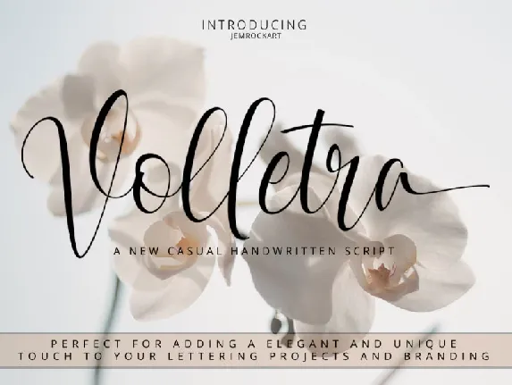 Volletra Script Free font