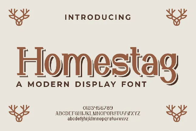 Homestag font