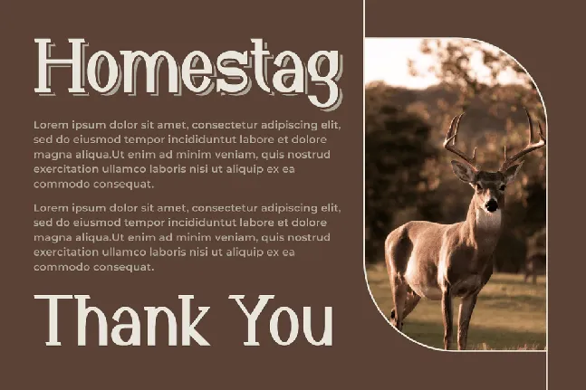 Homestag font