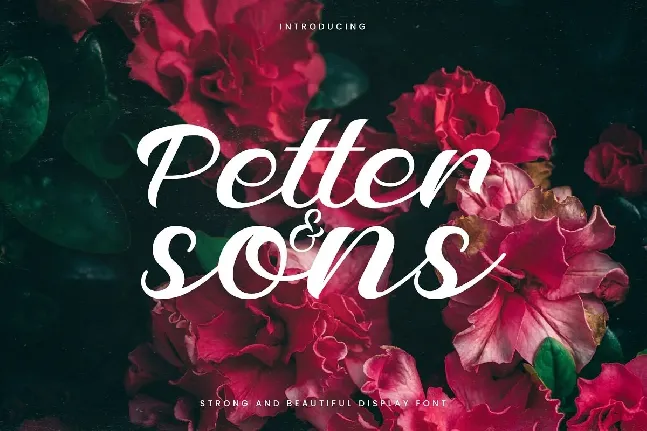 Petter And Sons font