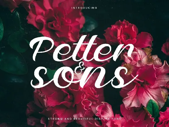 Petter And Sons font