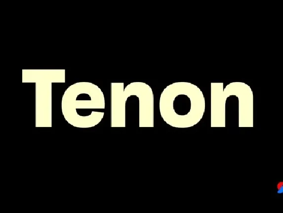 Tenon Family font