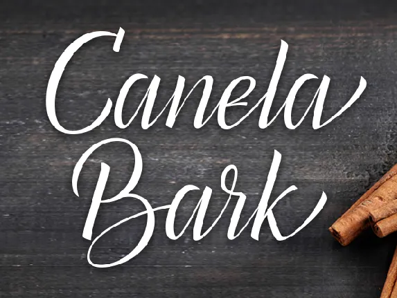 Canela Bark font