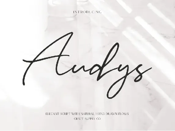 Audys Demo font