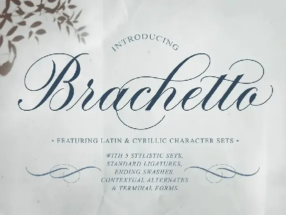 Brachetto font