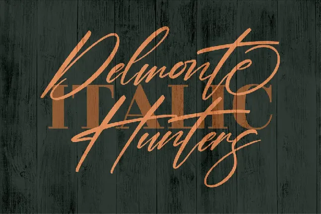 Delmonte Hunters font