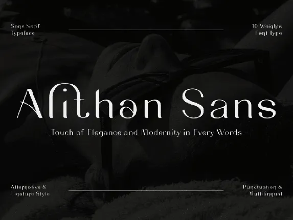 CF Alithan Sans Demo font