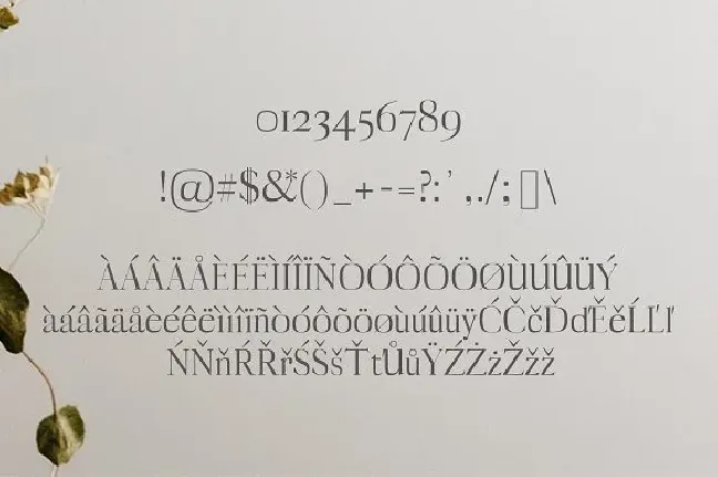 Myron Family font