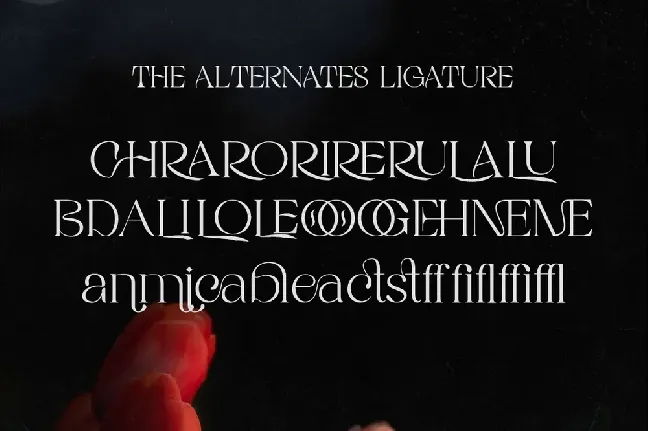 RIGATA font