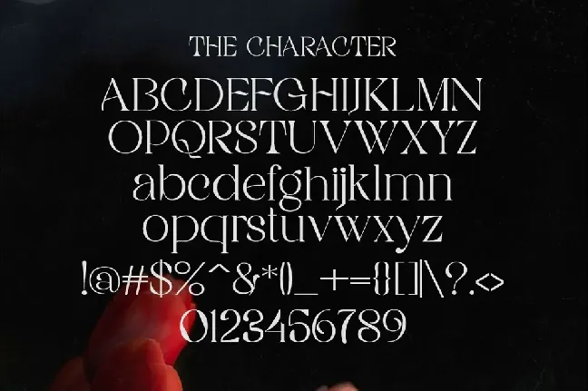 RIGATA font