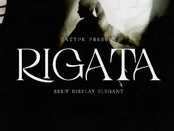 RIGATA font