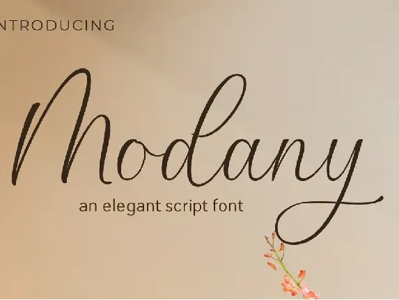 Modany font