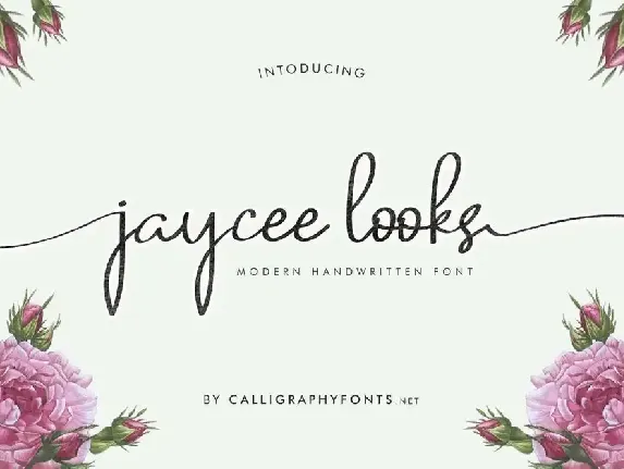 Jaycee Looks Demo font