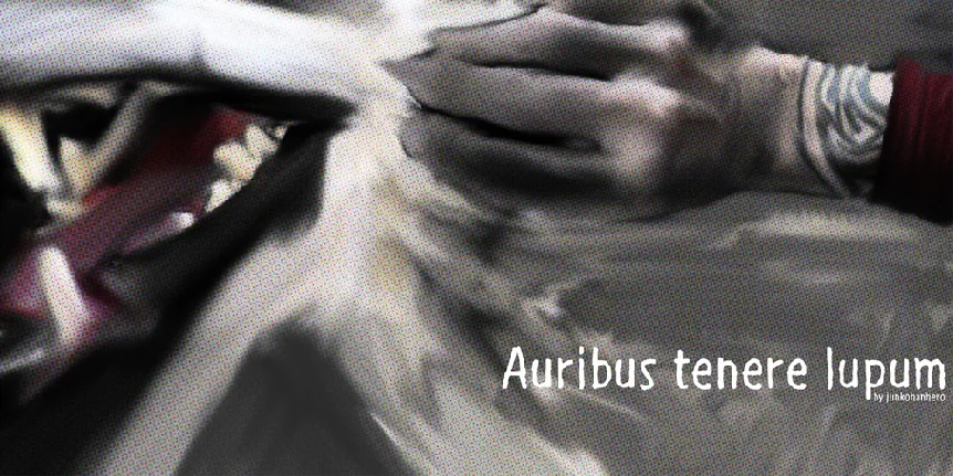 Auribus tenere lupum font