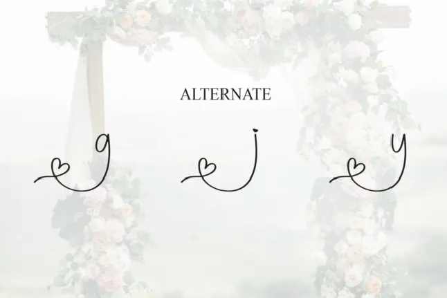 Happy Wedding Script font