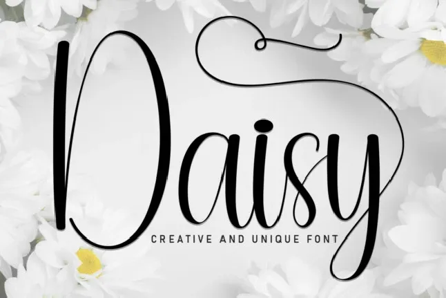 Daisy Script Typeface font