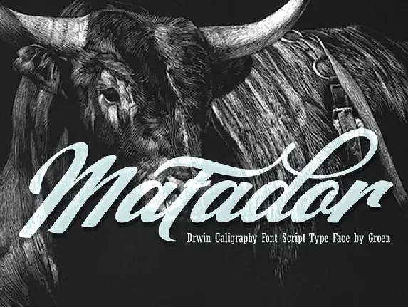 Matador font